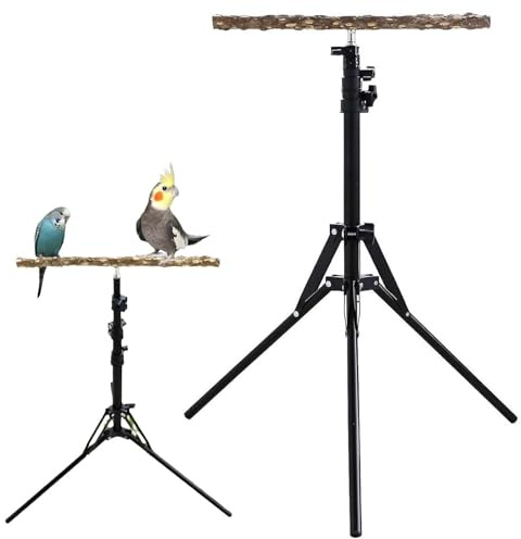 Vogel-Sitzstange | Papageien-Trainingsstange | 40–157 cm höhenverstellbar – Vogel-Trainings-Sitzstange | Naturholz Papageien-Sitzstange Spielzeug | Vogel-Trainings-Sitzstange für drinnen und draußen