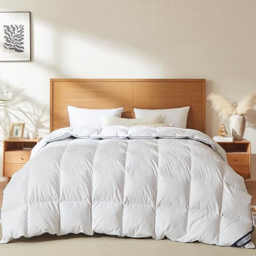 BedFabtasy Edredón de verano de 155 x 220 cm, edredón ligero de verano de 155 x 220 cm, con plumón de ganso y plumas premium, 100% algodón orgánico silencioso, certificado Öko-Tex 100, Down Pass