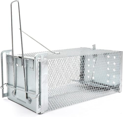 RatKil Live Rat Cage Trap | Humane Mouse Traps & Rat Traps - All Weather, Home & Animal Friendly Reusable Rat, Mouse, Squirrel, Mole, Rodent Solution (Large)