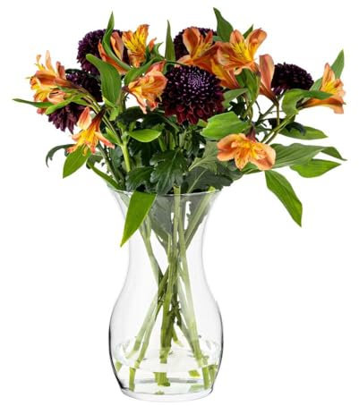 TREND FOR HOME Blumenvase 25 cm Vase für Tulpen, Glasvase für Blumen, Tischvase Dekovase Klarglasvase Deko für Wohnzimmer | ⌀ 14 cm | 2410 ml | Lily
