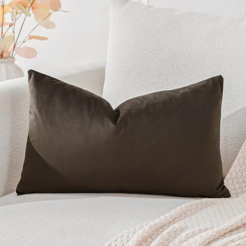 Artscope Samt Kissenbezug Kissenhülle Dekorative Dekokissen Sofakissen Lendenkissen Wurfkissenbezug Sofa Schlafzimmer 40x60cm Schokoladenbraun