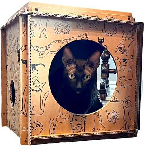 Premium Katzenhaus aus recyclebaren Kartonwürfeln (1-Würfel)