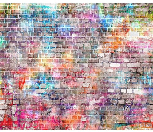 murando - Vlies Fototapete Steinwand 500x350cm- Foto Tapete Schlafzimmer Wohnzimmer Vliestapete XXL Wandtapete Motivtapeten Bildtapete 3d Effekt Wand Dekoration - Steine Stein Ziegel bunt f-B-0131-a-a