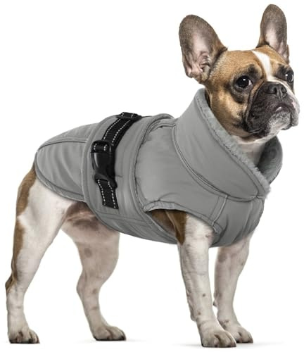 Hundejacke Kleine Hunde, Wintermantel Fleece für Hunde Hundemantel Wasserdicht Hundejacke Französische Bulldogge Warme Weste Winter Hundekleidung für Hunde(Grau, S)