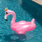 Gonfiabile Flamingo Rosa con Corona 130x90cm – Fenicottero Galleggiante per Piscina o Mare – Divertente e Instagrammabile – Estate Bambini e Adulti - Varzi dal 1956
