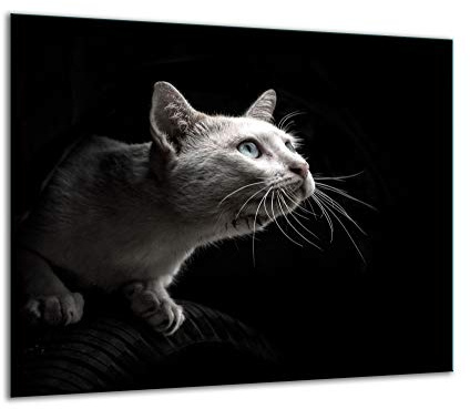 TMK | Herdabdeckplatte 60x52 Einteilig Glas Elektroherd Induktion Herdschutz Spritzschutz Glasplatte Deko Schneidebrett Katze