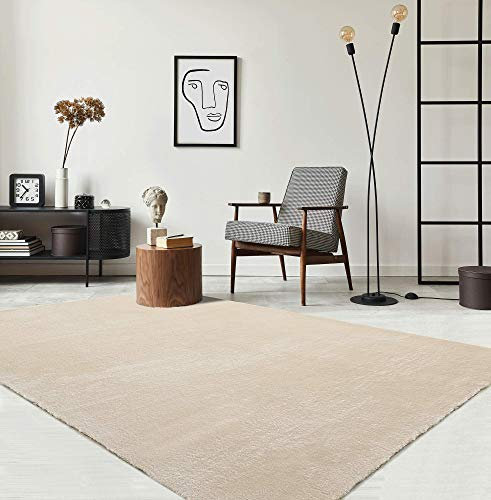 the carpet Relax - Alfombra Moderna y mullida de Pelo Corto, para salón, Parte Inferior Antideslizante, Lavable hasta 30 Grados, Muy Suave, Beige, 80 x 300 cm
