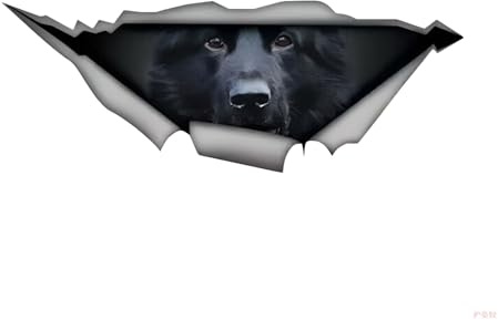 Autoaufkleber 15Cm Deutscher Schäferhund Aufkleber German Shepherd Car Stickers Haustier Hund Zerrissenes Aufkleber Reflektierende Wasserfester Auto Aufkleber Auto Stoßstange Kofferraum Dekor D014#