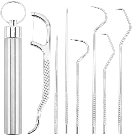 Stainless Steel Toothpicks Set, 7PCS Toothpick Holder Metal Toothpick Set, Reusable Metal Toothpicks, Portable Metal Toothpicks Holder for Outdoor Camping Picnic Travel(Silver)