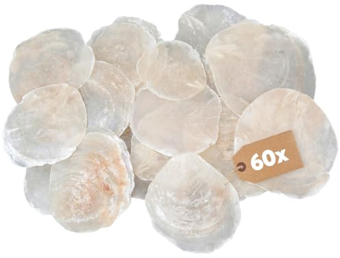 matches21 HOME & HOBBY Große Capiz Muschel-Scheiben 60 STK. Ø 7-10 cm Natur Perlmuttscheiben zum Basteln Dekorieren
