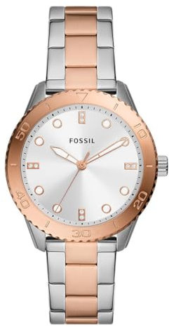 Fossil BQ3887 Ladies Dayle Watch