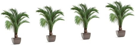 Cabilock 4pièces Autocollant Mural Tropicales Décoration Naturelle Pour Chambre Salon Et Bureau Sticker Adhésif Design Palmier