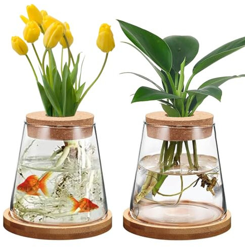 2 Pièces Vases Hydroponiques en Verre avec Socle et Bouchons en Liège, Vase Transparent de Bureau, Pots Hydroponiques pour Culture Hydroponique pour la Maison, Le Bureau, la Décoration de Table
