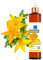 Hiperico, Masaje Relajante, Aceite Hierba San Juan Concentrado, Forte, 100% Puro, Aceite Corporal, Cicatrices, Aceite Estrias, Embarazo, Aceite Cabello - 200 ml