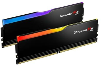 GSKILL Memoria RAM F5-5200J4040A48GX2-RM5RK 96GB DDR5 CL40 - Marca EAN: 4713294235916