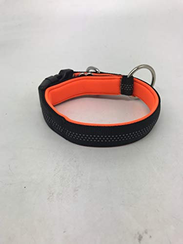 BEST DOG Premium Hundeleine für große Hunde - Reflektierend mit Ruckdämpfer (Hundehalsband Orange-Schwarz)