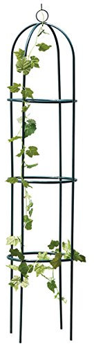 Obelisk 1.9M Outdoor Garden Black Metal Climbing Plant Support Frame Ivy Trellis - A great addition for your garden this summer, perfect for climbing plants and bushes.