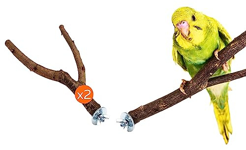 Vogelgaleria® 2 Sitzstangen für Wellensittiche aus Naturholz in Y-Form – ergonomisch und ideal zur Krallenpflege | Wellensittich-Zubehör