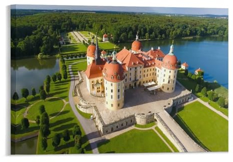 Puzzle 1000 Teile，Luftaufnahme von Schloss Moritzburg und dem Schlosspark，Kinderspielzeug Dekompressionsspiel Klassisches Spiel Puzzle（50x70cm）-214
