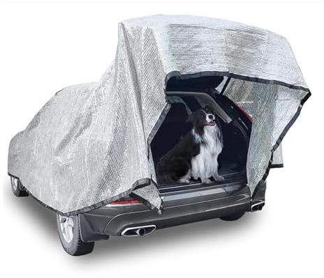 NEWFUN Toile Pergola 4x3, Protection Thermique en Aluminium avec œillets, Protection UV à 80%, Adaptée aux Voitures, SUV, Camping-Cars, Voyages et Camping
