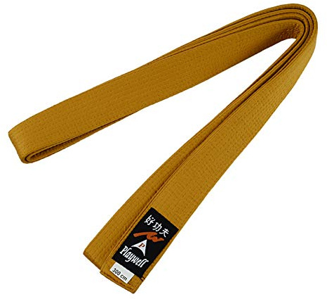 Playwell Artes Marciales Satén Liso Oro Colorido Cinturón de Correa - Nuevo - Oro, 220cm