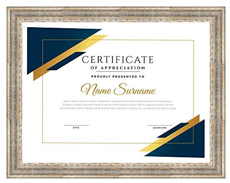 Lupia - Cornice per Attestati in Legno, ROVESCIA Barocco Argento, pergamene, diplomi, Compatibile Formati Vari, Protezione in Acrilico, Verticale/Orizzontale, Foto, Stampe, da Parete 29,7x42 cm A3