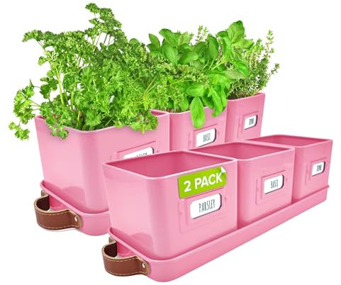 Green Thumbz Herb Pots for Kitchen Windowsill - 2 Pack Pink Herb Planter Indoor with Leather Handled Tray - Ideal for an Indoor Herb Garden, Plants and Flowers - Labels Included