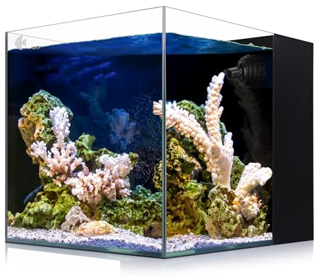 Coralland 8-Gallon Saltwater Aquarium - Ultra Clear Low Iron Glass, 45° Angled Joint Design, Crystal Clear Viewing, Perfect for Marine Fish & Reef Tanks & Freshwater