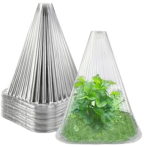 20 pezzi campane per piante da giardino, coperchio per campane in plastica trasparente per pianta mini serra cappelli per piante per protezione contro uccelli, insetti, gel o intemperie