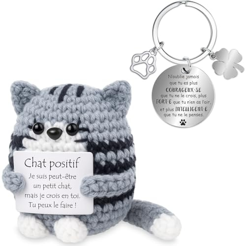 Farbeele Cadeaux pour Femme Homme, Figure Positive avec Porte-bonheur Porte-clés, Cadeau Original pour Anniversaire, Bon Rétablissement, Cadeaux pour Amie Collègue Couple Sœur, Déco Maison Motivante