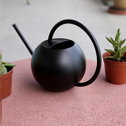 Edelstahl Gießkanne, Metall Long Spout Gießkanne Schwarz Lange Ausguss Bewässerungstopf Haushalt Pflanzengießkanne für Außen und Innenbereich (1000ml)