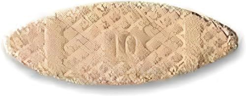 Chevilles plates en bois pour travaux manuels, lames d'assemblage - Biscuits Lamelles - Chevilles en bois de haute qualité pour le bricolage et la menuiserie (50 pièces, numéro 10)