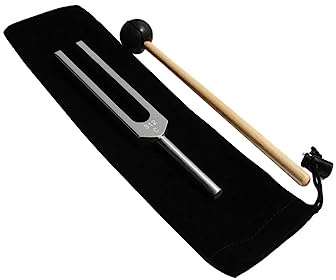 ifundom Medizinische Stimmgabel 512 Hz aus Aluminiumlegierung mit Silikonhammer und Tragetasche für - und neurosensorische Tests