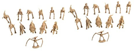 CIYODO STK Simulation Dinosaurierskelett Monoclonius Dino-Spielzeug Mini-dinosaurierfigur Spielzeug Desktop-Dinosaurier-Modell Gefälschtes Dinosaurierspielzeug Bambus
