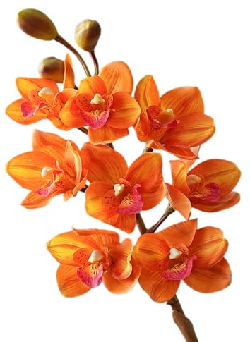 BQEE Real Touch - Tallos artificiales de orquídea Cymbidium de 80 cm, flores de orquídea sintética de 80 cm, flores grandes de 8 cabezas, tallos flexibles, paquete de 2 para decoración del hogar, boda