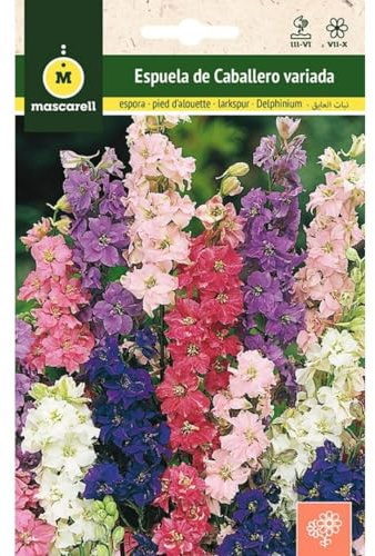 Mascarell Semillas, ESPUELA DE CABALLERO VARIADO, Semillas Flores Exterior para Decoración, 2 Gramos
