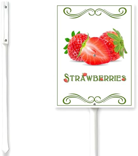 Horienteeon Gartenschilder mit Pfahl, Erdbeeren, Gartenschilder, dekorative Metallpflanzenschilder, Gartenpflanzen-Etiketten, 15,2 x 11,7 cm, für drinnen und draußen, Kräuter, Blumen, Topfpflanzen