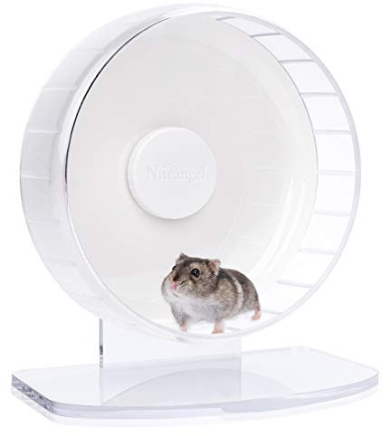 Niteangel Hamsterhjul, supertyst träningshjul, motionshjul som snurrar tyst, löparhjul med justerbart stativ för igelkottar, ökenråttor, möss eller andra små djur (storlek S, vit)