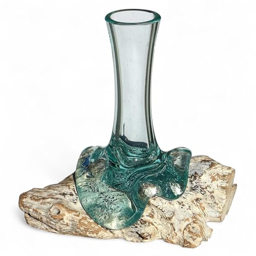 Wogeka Vase auf Wurzel-Holz, Unikat Glasvase 20 cm mit abnehmbarem Glas, handgefertigt im mediterranen Style als Geschenk-Idee zur Dekoration, Classic in weiß