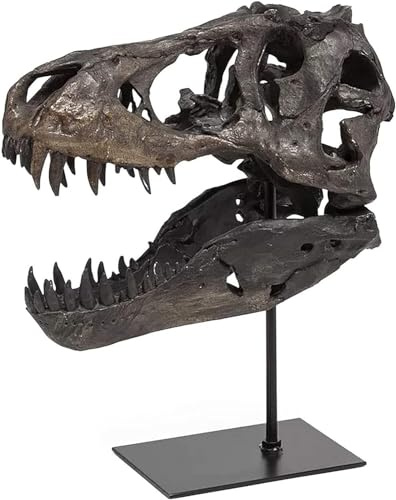 JOTNBOBO Dinosaurier-Schädel-Statue, Dinosaurier-Skulpturen Halterung Tyrannosaurus Schädel Replik Dekoration Schädel Knochen Harz Replik mit Halterung für Home Office Decor Regal Display