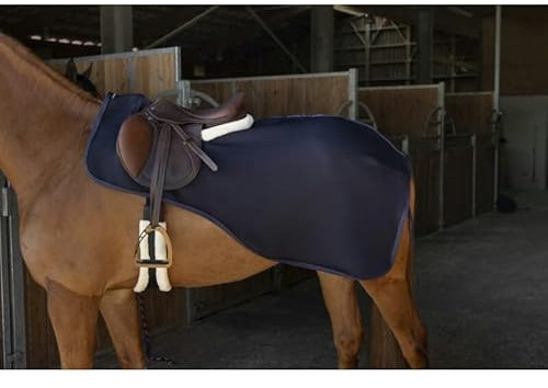 Equithème Nierendecken für Pferde Softshell Teddy