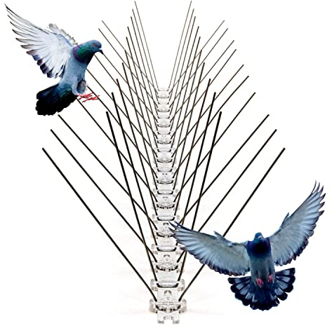 SPIRDS 5 m (10x50 cm) Balkon-Taubenabwehr Dichte Stacheln, Vogelabwehr zum Schutz von Blumenkasten Fensterbank Simse Dach, Taubenabwehr-Spikes rostfreier Stahl, Taubenabwehrspitzen, 80 Stacheln/Meter