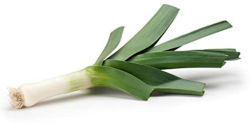200 Leek Seeds - Vegetable Garden Vegetable - Reproducible Peasant Seeds - SemiSauvage