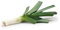 200 Graines de Poireau - légumes jardin potager- semences paysannes reproductibles - SemiSauvage