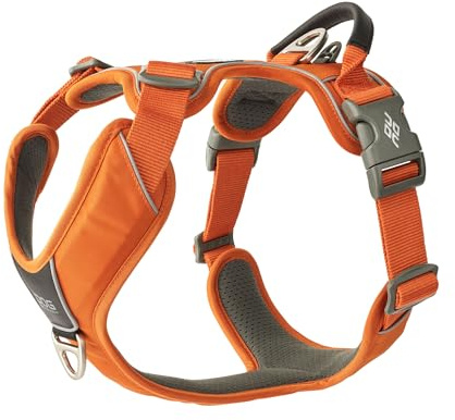 DOG Copenhagen Comfort Walk Pro Hundegeschirr, Orange Sun, L