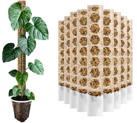 Nils der Växtfreund® mosspinne [PlantScraper] 20 cm (XS)/3 stycken/matt | växtpinne | Moss Pole | Spaljé | utbyggbar mossa | mossa stavar | plantstolpe inomhus | mossstav för monstera