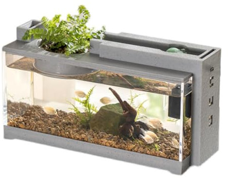 Zstar Serbatoio per pesci acquario con pompa dell'acqua, mini kit di avviamento silenzioso per acquario, micro paesaggio, scrivania per acquario, set completo per ufficio decorazione desktop