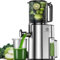 CelerySpec Estrattore di Succo a Freddo, Estrattore di Frutta e Verdura con Calibro 130mm, 1,8L, 250W, BPA-Free, Estrattore Verticale con Funzione Inversa, Facile Pulizia, Acciaio Inox