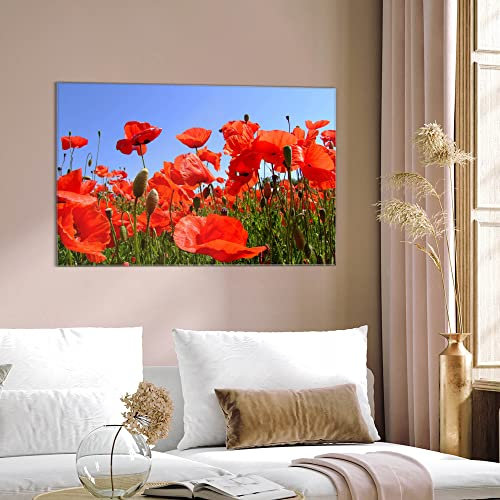 banjado Glas Magnettafel (60 x 40cm) - Magnetwand Glas - Magnetpinnwand als Memoboard - Pinnwand Magnettafel Küche, Büro, Kinderzimmer - Mohnblumen