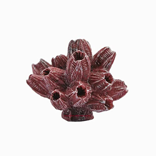 Nano Seepocken, 6x5 x4cm, Barnacle,Kunstkorallen Nachbildung, Meer Aquarium